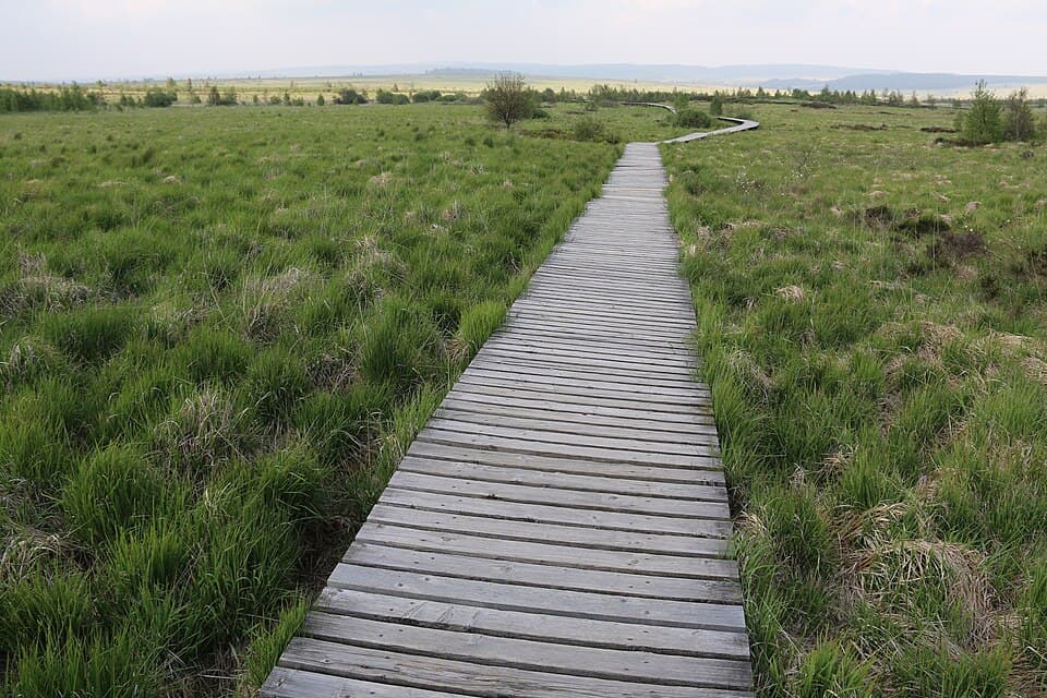 Les Hautes Fagnes en une journée - tourbières et caillebotis